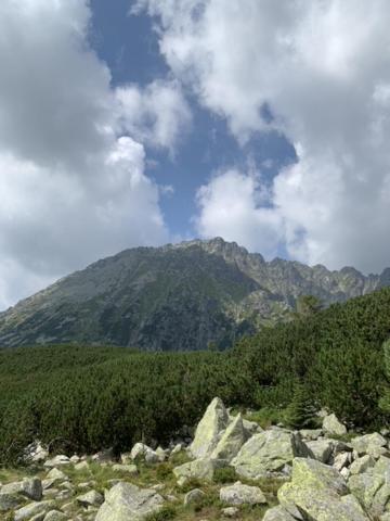 Gosciniec W Zakopanem Homestay